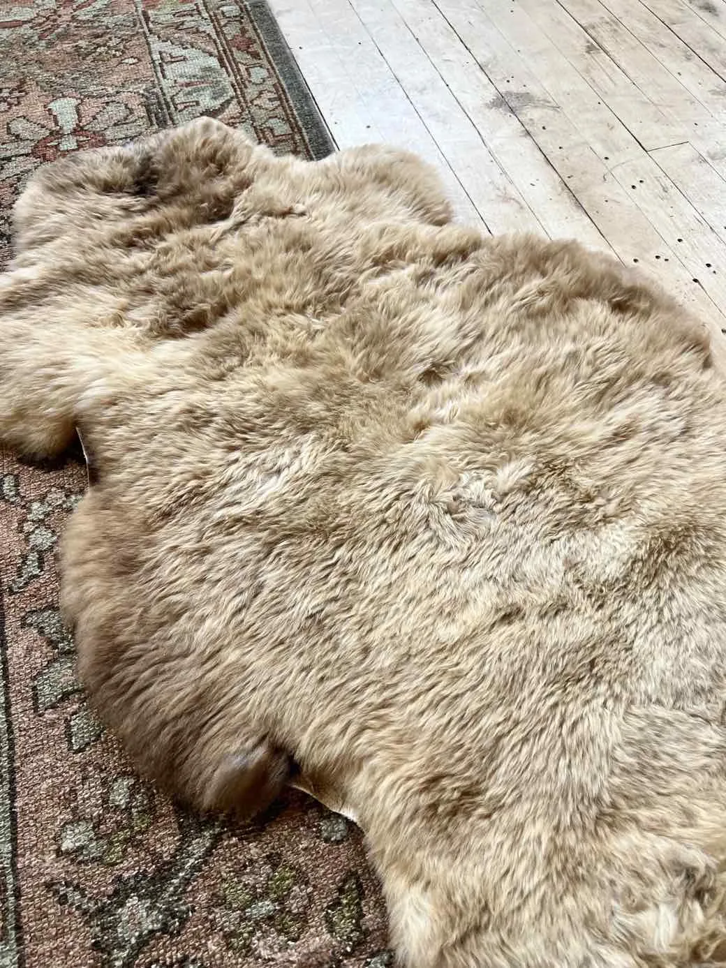 Fluffy Soft Caramel Organic Sheepskin