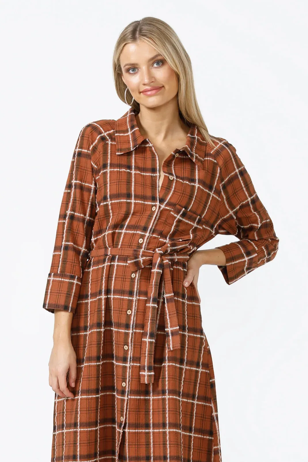 Ines Shirtdress in Brown Check